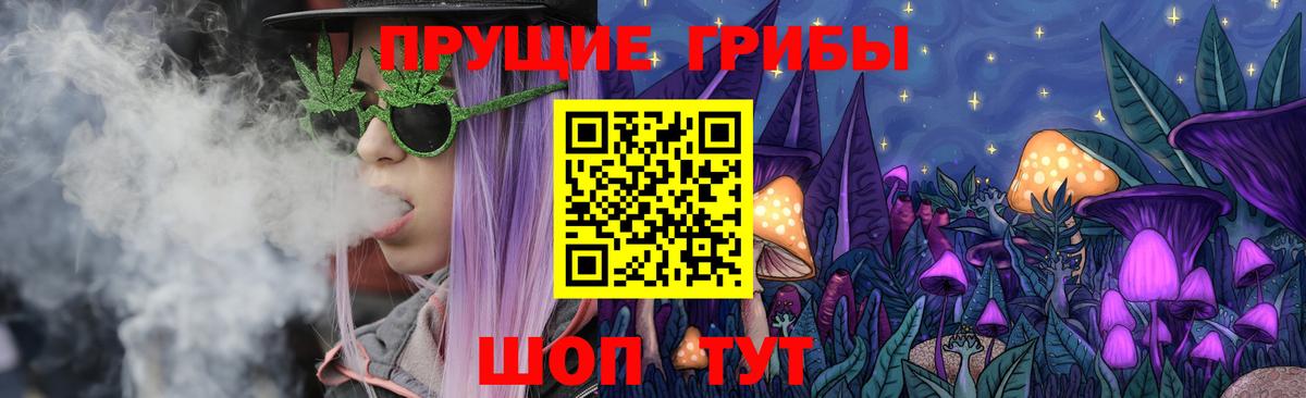 Псилоцибиновые грибы GOLDEN TEACHER Димитровград